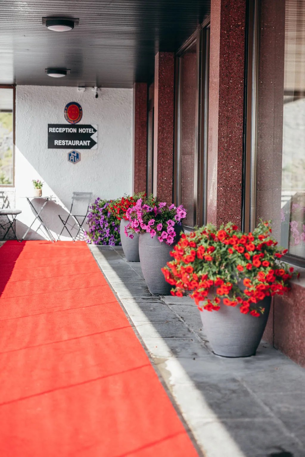 Hotel entrance with a red carpet and large pots of colorful flowers