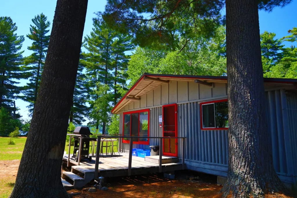 Side view of a cabin with a deck, seen through two large pine trees