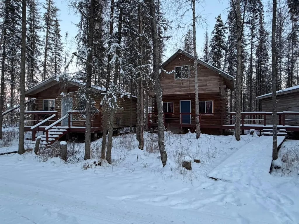 Three snow-covered log cabins surrounded by bare trees in winter