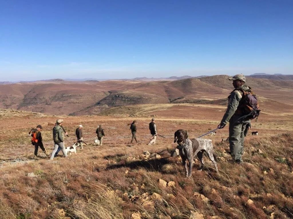 Group of hunters and dogs walking across a vast, golden-hued landscape under a clear sky