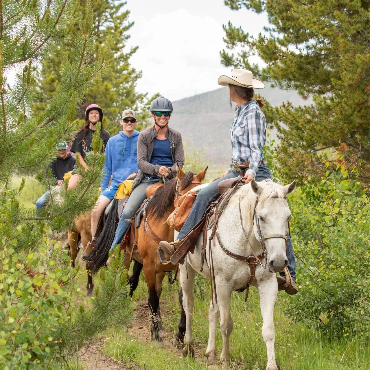 Group on horseback riding through a pine forest on a dirt trail