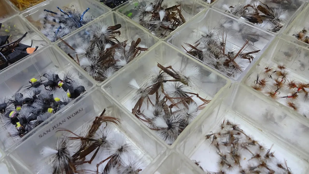 Close-up of various fishing flies organized in clear display boxes