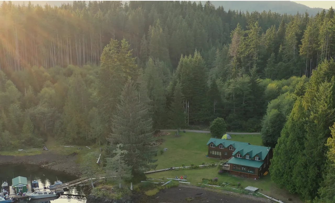Aerial view of Quatsino Lodge, its dock, and boats nestled in a lush green forest by the water