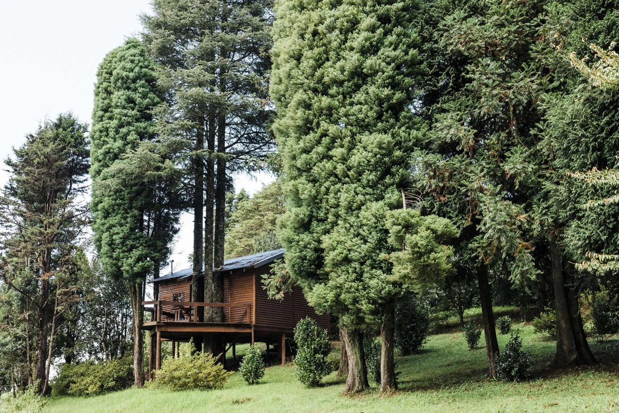 Small white house with a green roof by a reflective pond, surrounded by trees.
