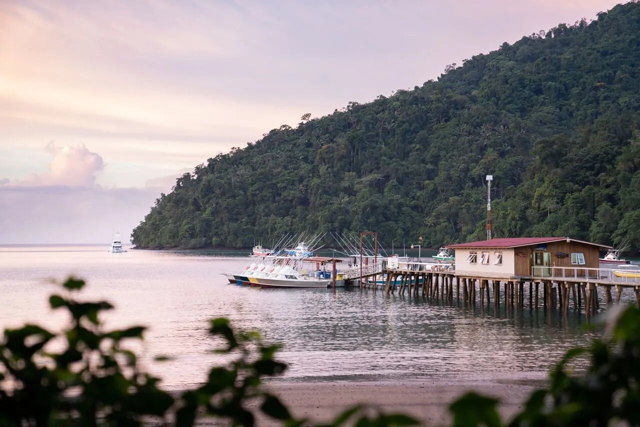 Wooden dock and lodge building on a calm bay surrounded by lush green hills