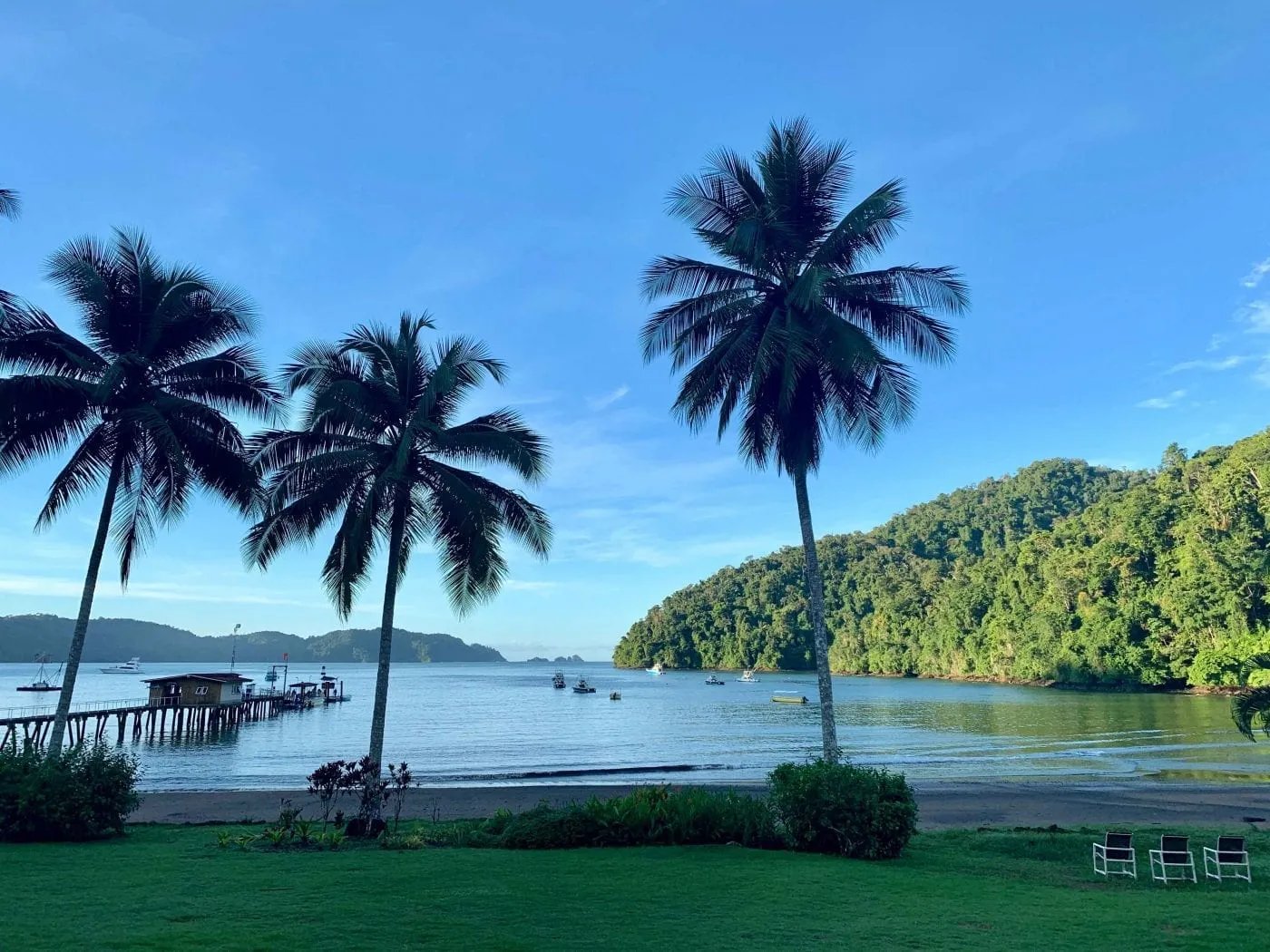 Tropical bay with palm trees, a sandy beach, and a distant dock under a clear sky