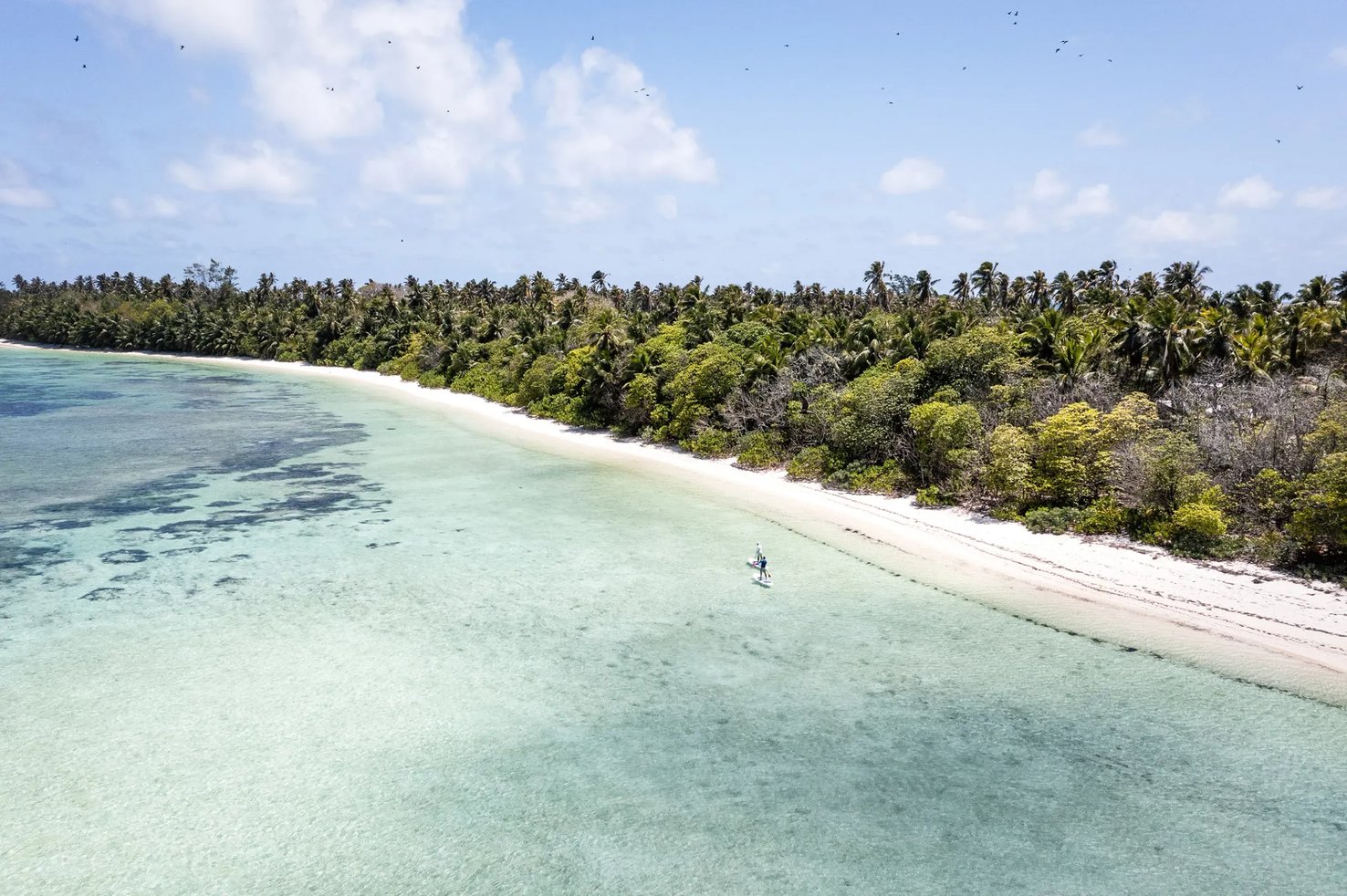 Aerial view of a lodge building on a palm-fringed beach at golden hour.