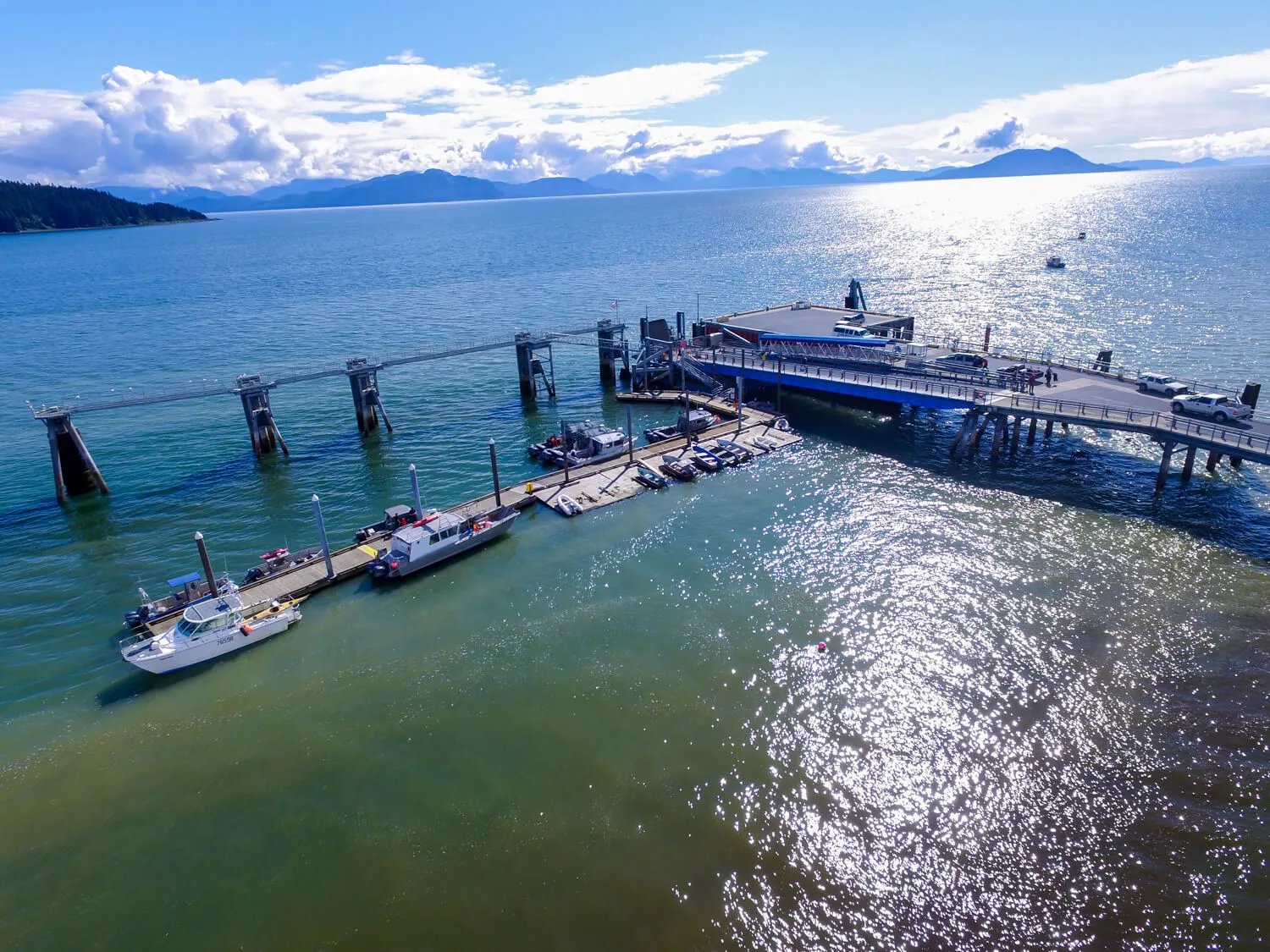 Aerial view of the Alaskan Anglers Inn lodge compound surrounded by green forest