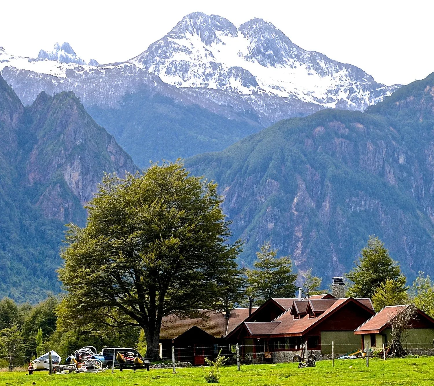 Lodge buildings with a large tree and snow-capped mountains