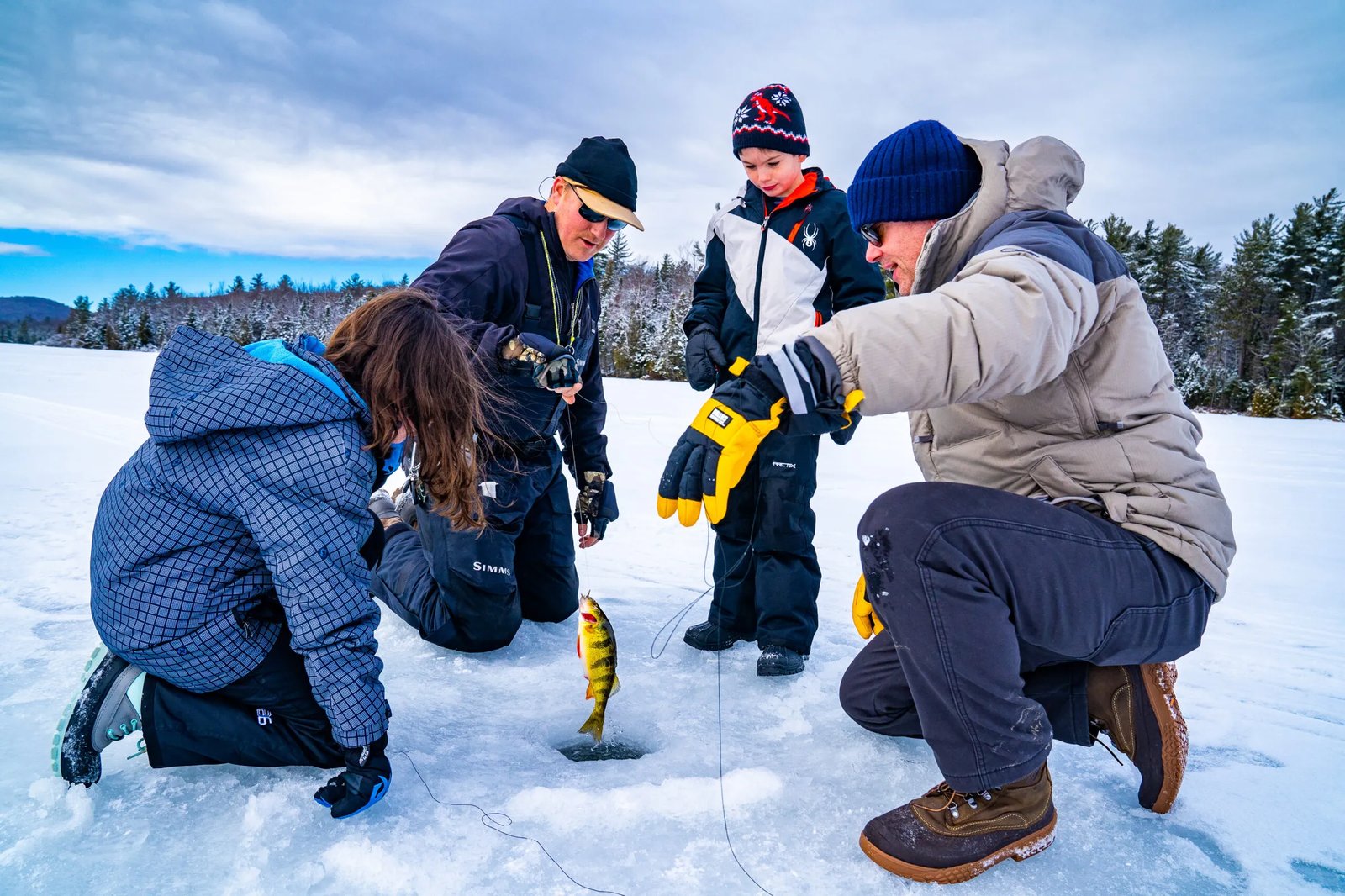 Family pulling a yellow perch from an ice fishing hole on a frozen lake