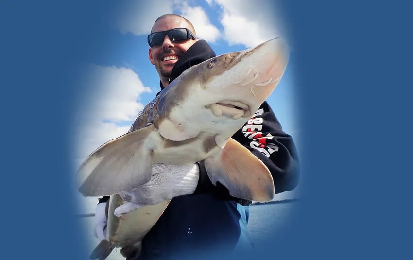 Man in sunglasses smiling, holding a fish against a blue sky.