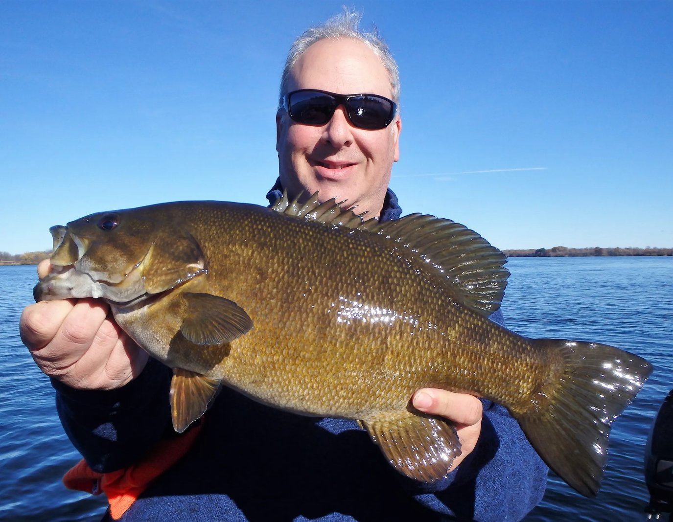 Man in sunglasses holding a very large smallmouth bass on a boat.