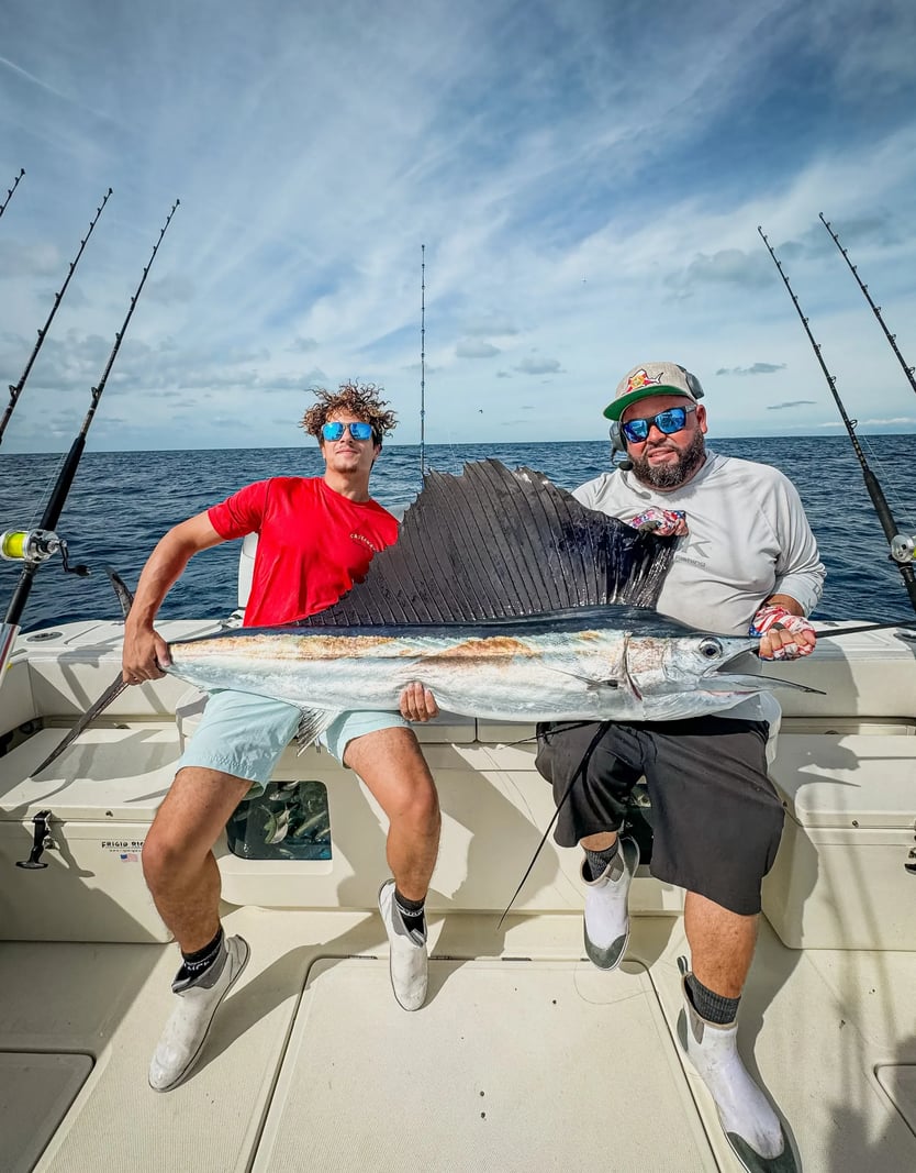 Marathon Fishing Charters Sailfish