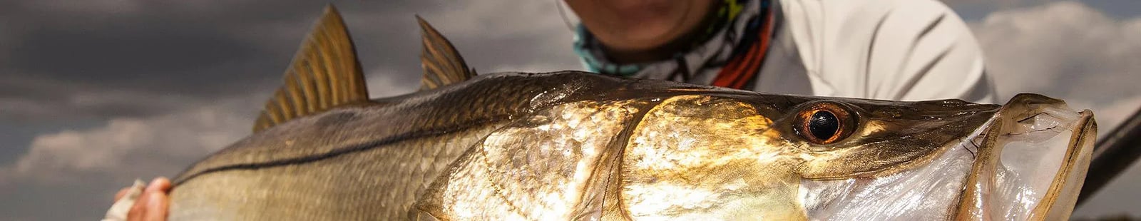 Angler holding a large Snook with a cloudy sky background
