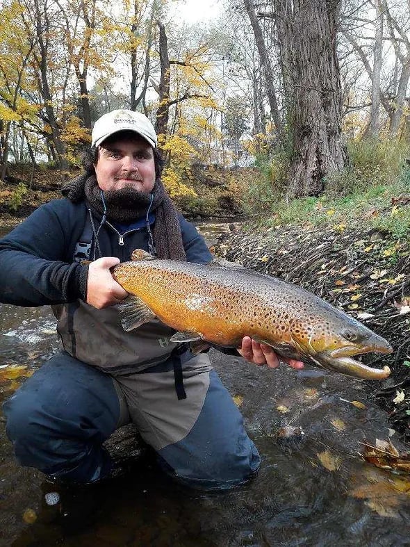 Angler kneeling in a stream holding a large Brown Trout with autumn trees.