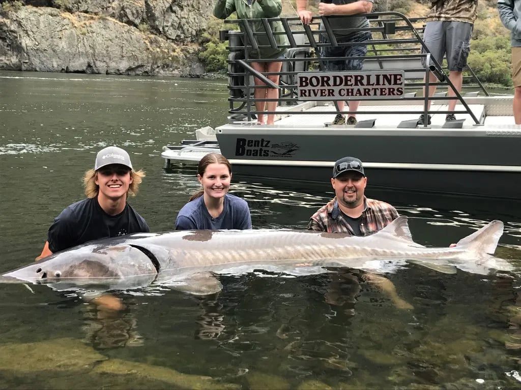 Three anglers in the water holding a large Sturgeon next to a Borderline River Charters boat