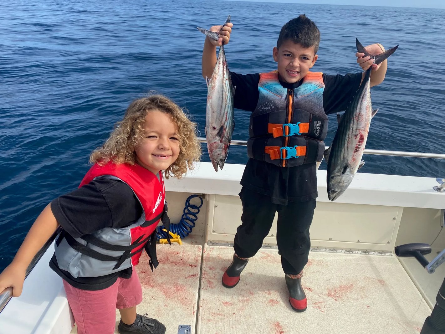 San Diego Bay Inshore Fish