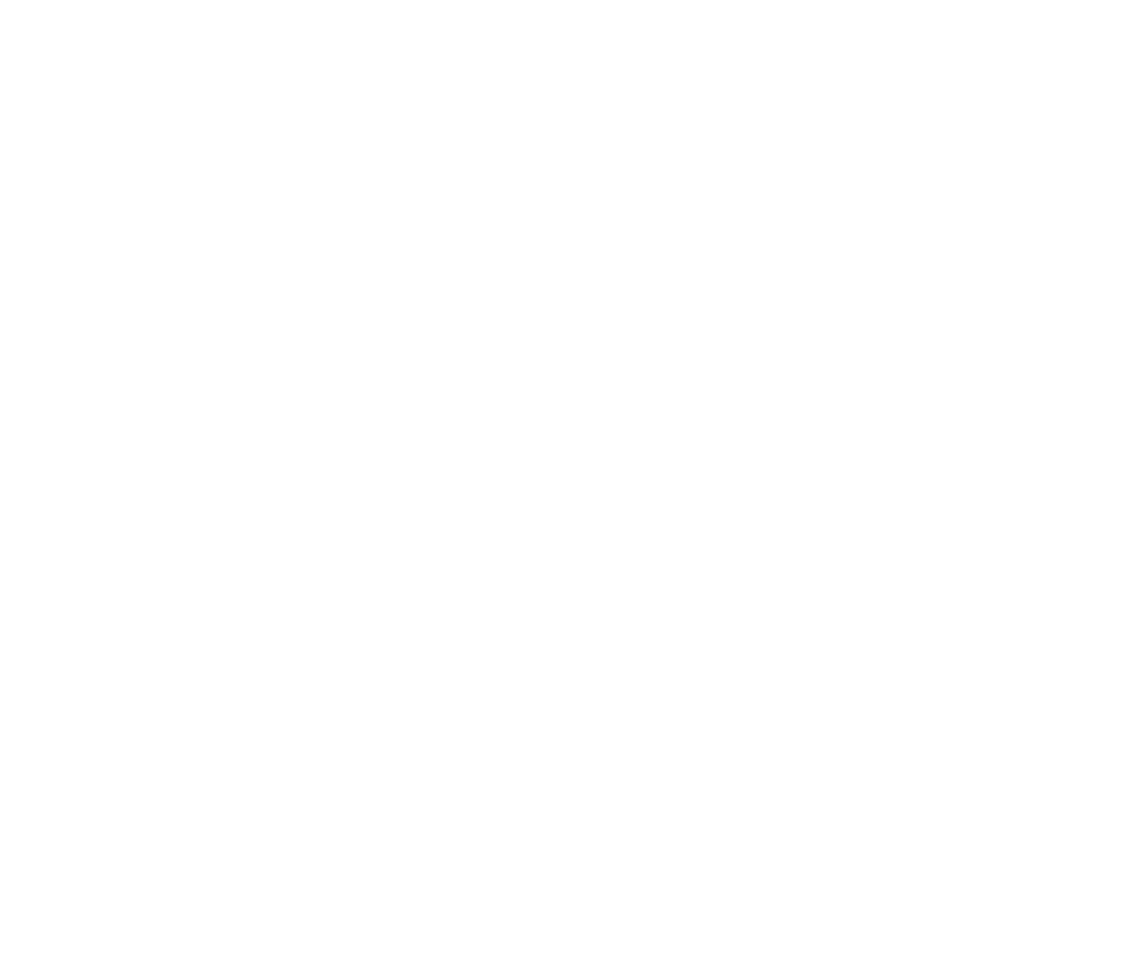 Bluestone Anglers logo with mountains, a fish, and a bird on a black background
