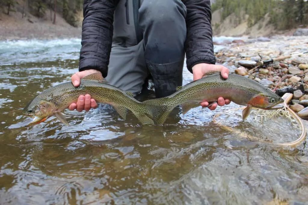 Angler's hand holding a fly rod and reel over water