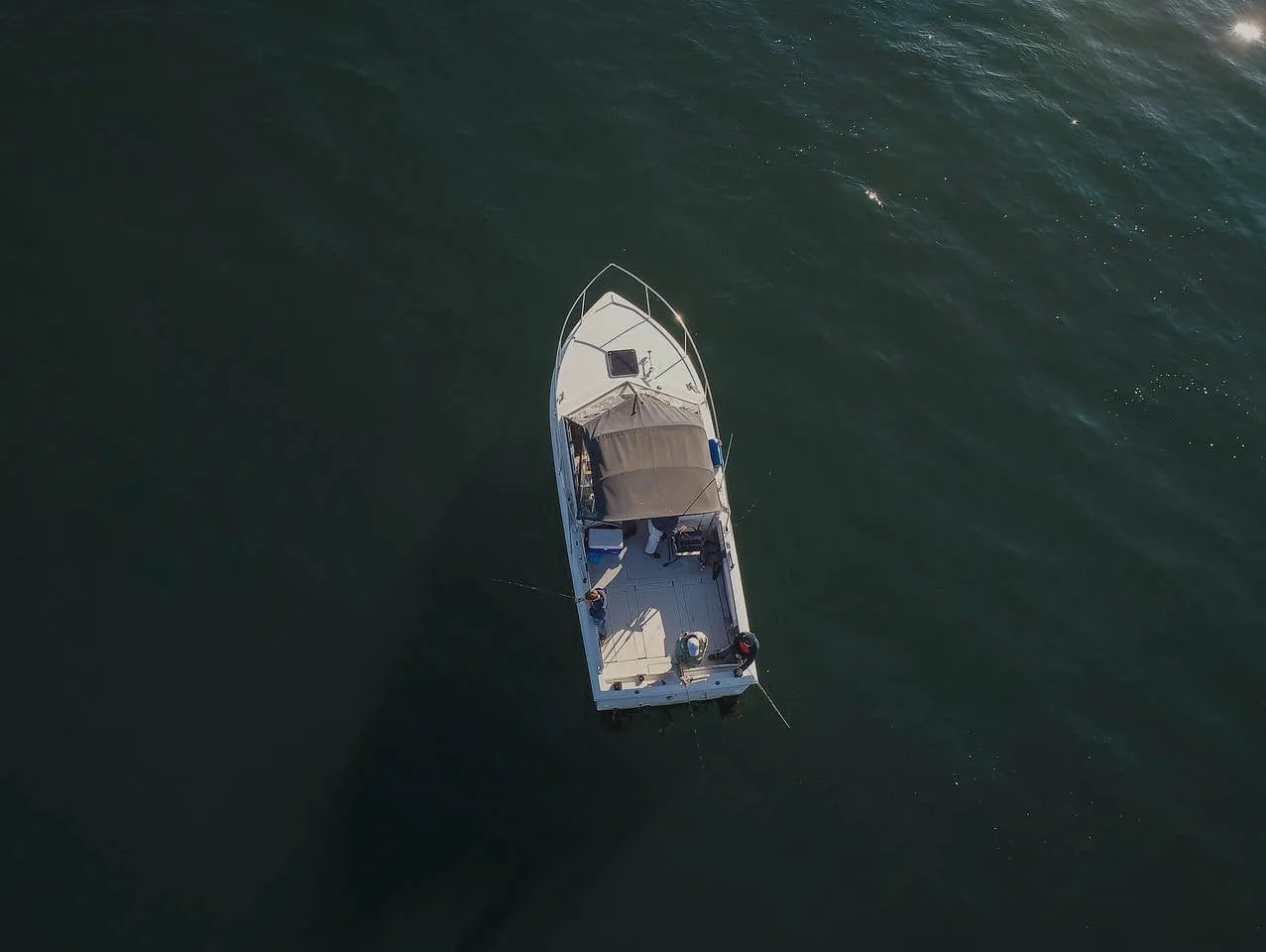White fishing boat viewed from above on dark water.