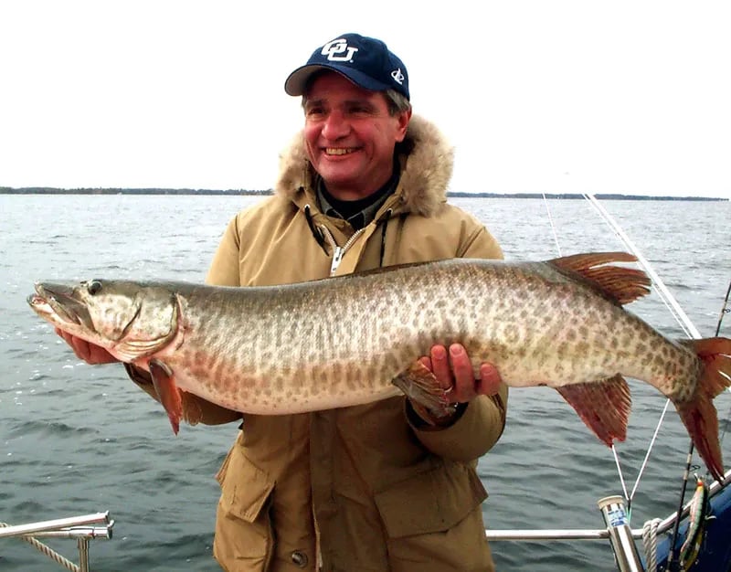 Young man holding a Northern Pike with a fish gripper on a boat.