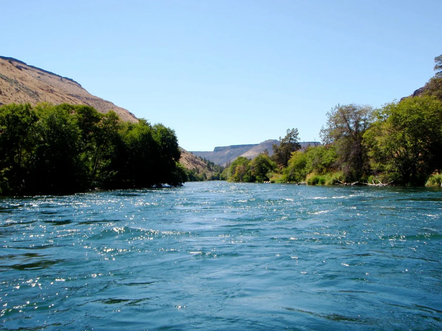 River flowing through a canyon with green trees and clear blue sky.
