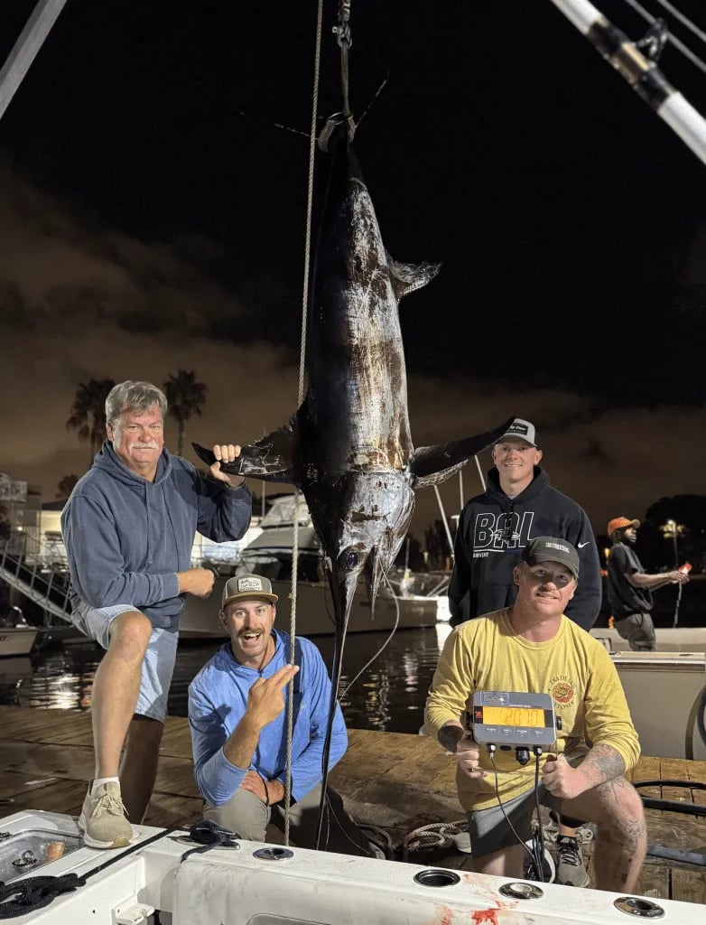 Group of anglers with a large Swordfish hanging from a hoist at night.