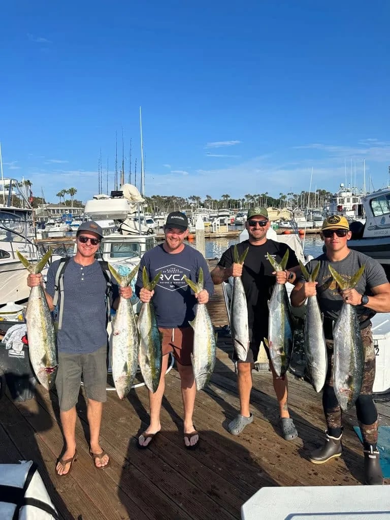 Two anglers on a boat with several Bluefin Tuna laid out on the deck.