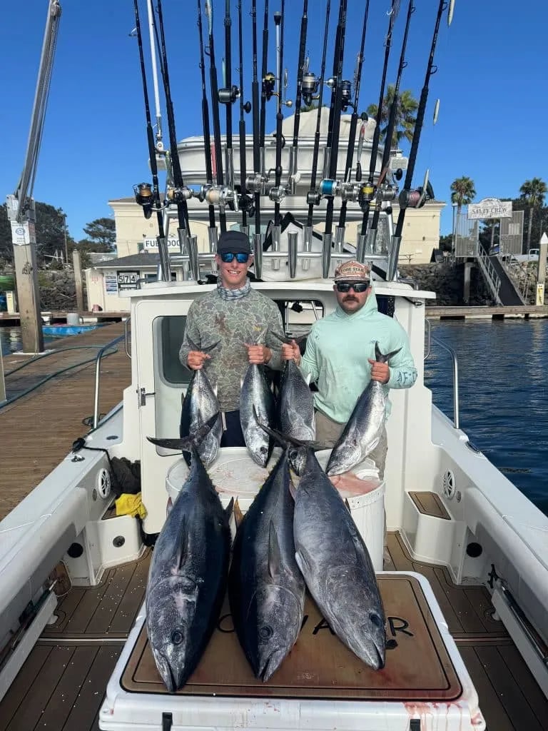 Angler fighting a fish from a boat with many Bluefin Tuna on the bloody deck.