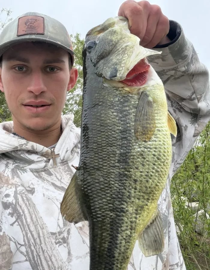 Angler in a camouflage hoodie holding a large bass with its mouth open.