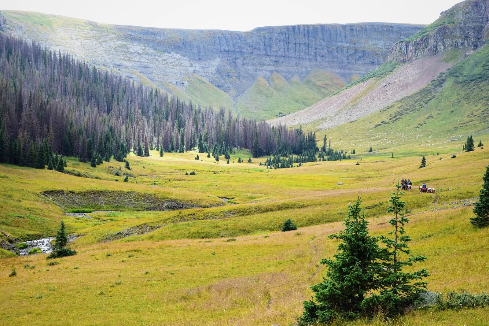 Vast high-country valley with a winding stream, pine trees, and towering cliffs.