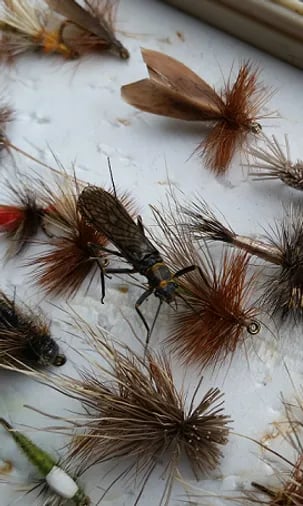 Assortment of dry flies and nymphs scattered on a white surface.