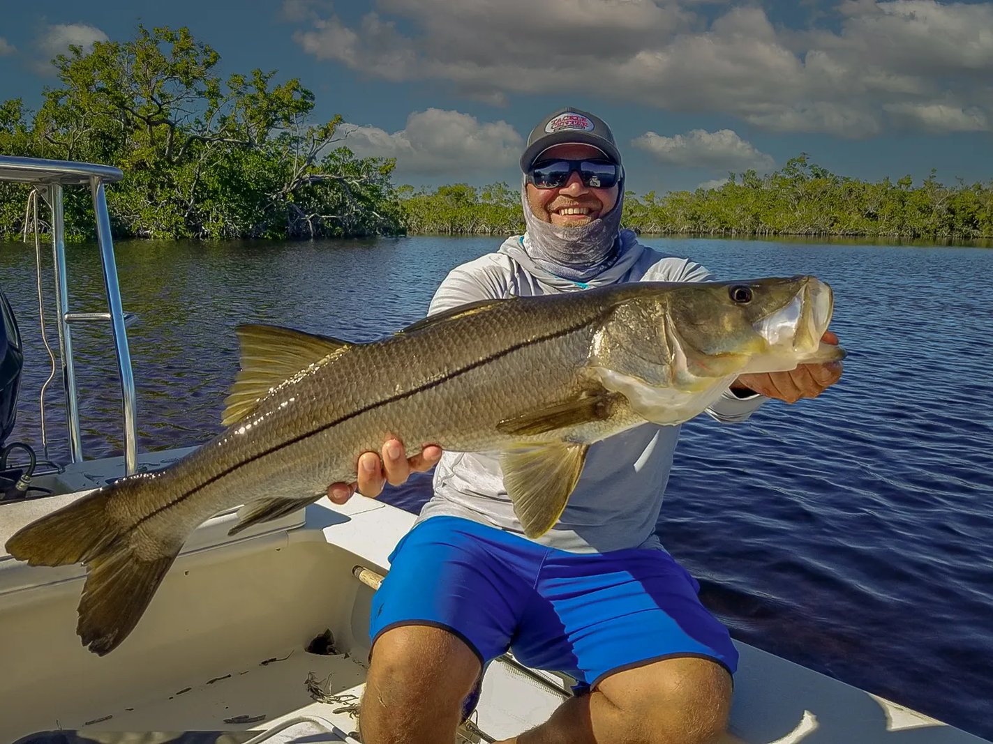 Large tarpon leaping high out of the water, shaking a hook.