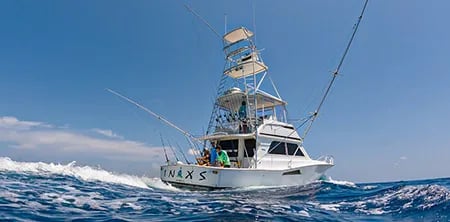 deep sea fishing mahi mahi dolphin