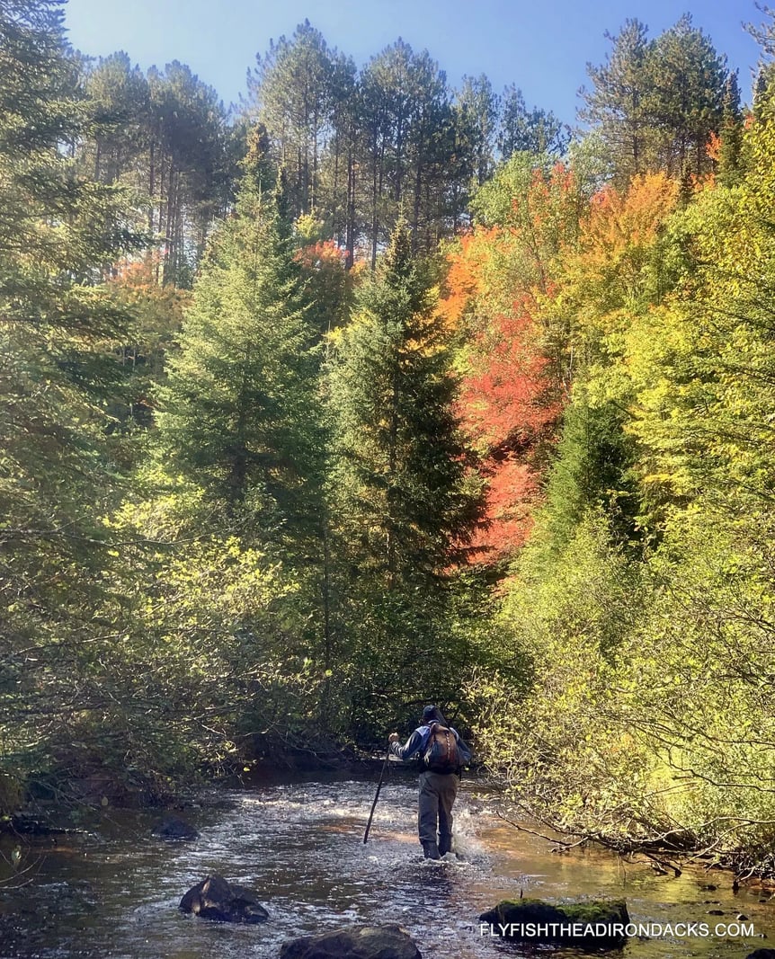 Rushing river with vibrant autumn foliage on its banks.