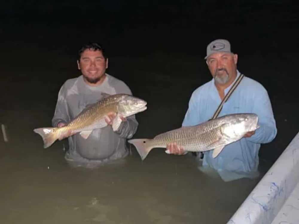 Redfish fight in Matagorda Bay