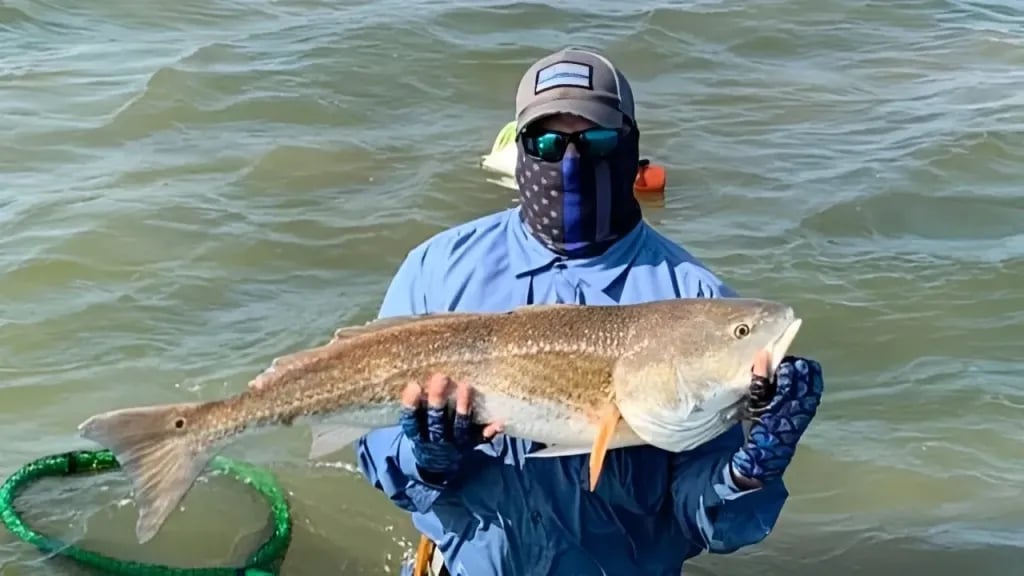 Full Day Guided Fishing Trip in Matagorda  - Redfish, Trout, and More