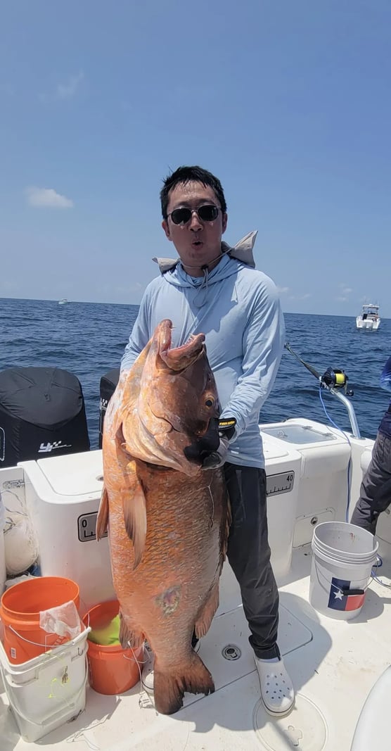 Angler kneeling on a wooden dock with a long line of Red Snapper.