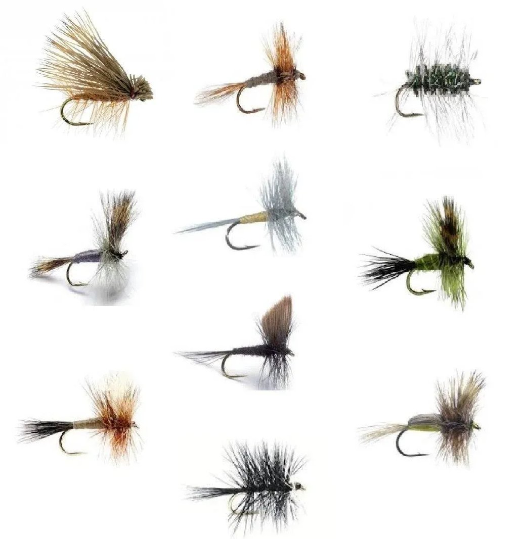 Assortment of dry flies and nymphs on a white background.