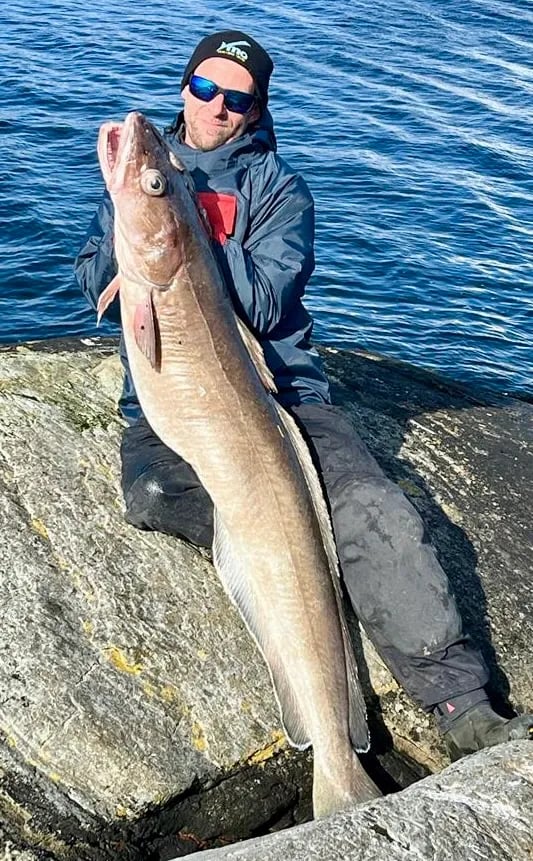 Man holding a large Ling by the water on a sunny day.