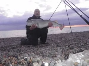 Angler kneeling on a rocky beach holding a large Cod at sunset.