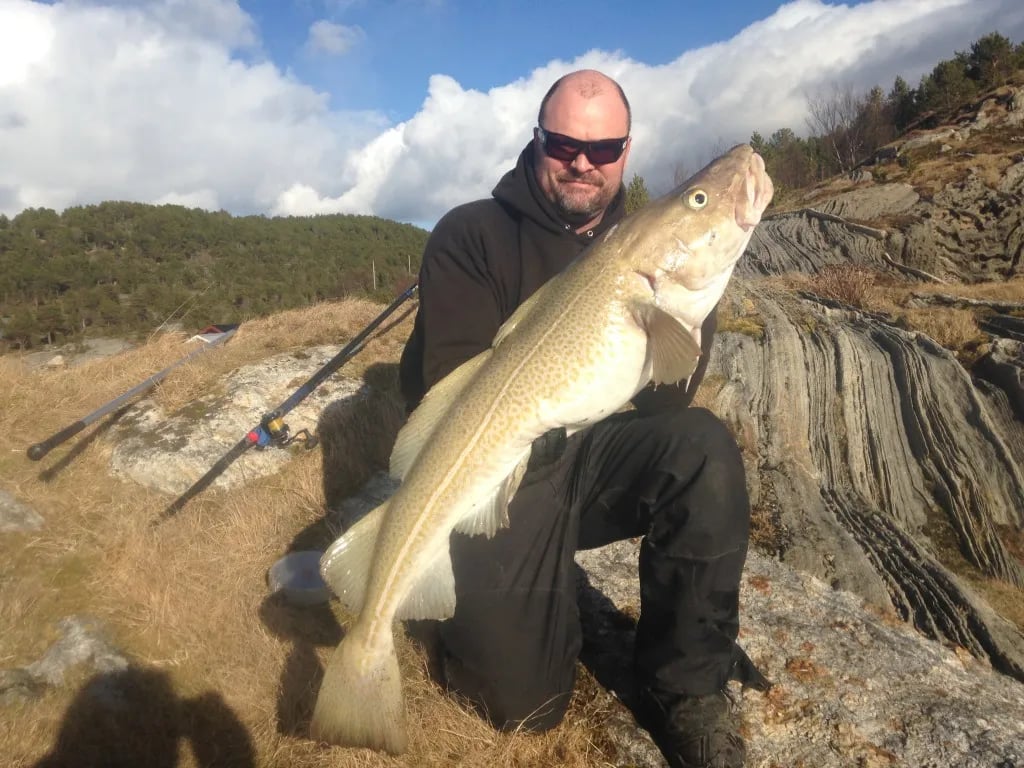 Man in sunglasses holding a large Cod on a rocky, grassy hillside.