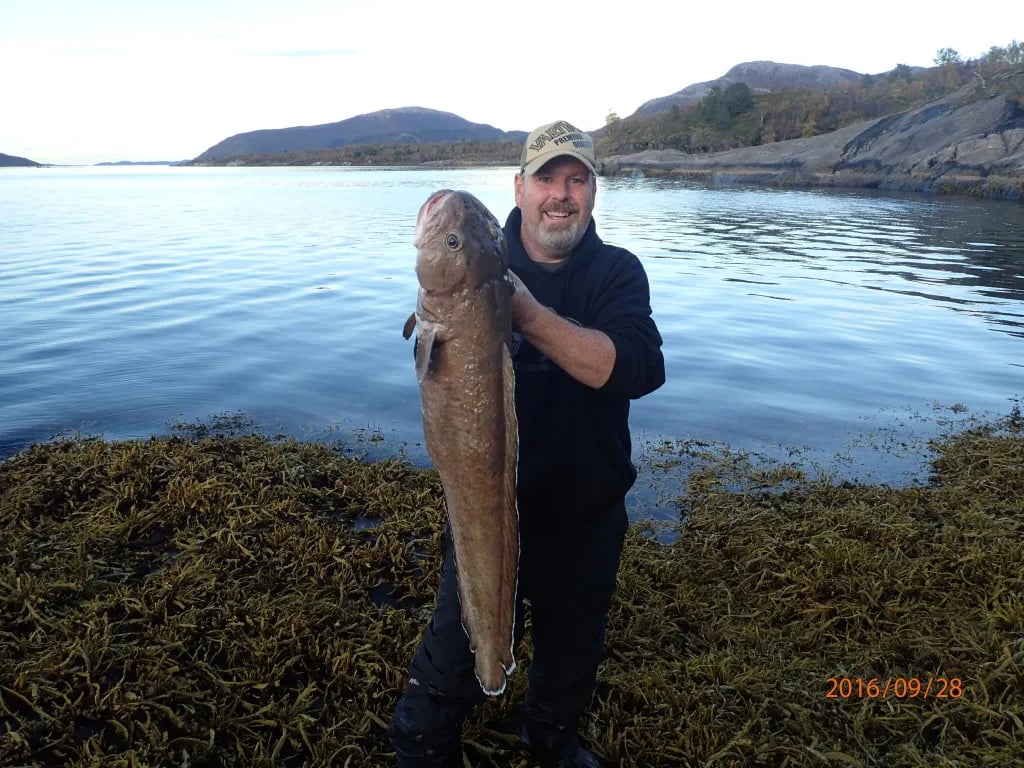 Man in a cap holding a large Ling by the water with mountains in the background.