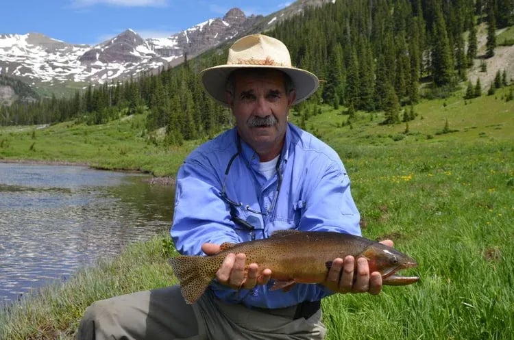 Small Brown Trout swimming in clear river water over rocks.