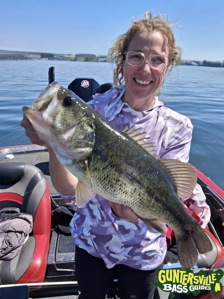 Lake Guntersville fishing report April 2026 with bass in pre spawn spawn and post spawn stages