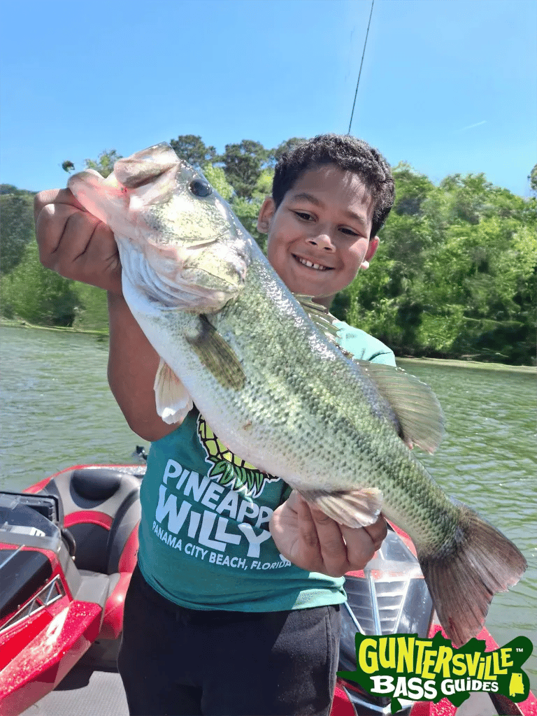 Another quality bass caught with Capt. Phillip Criss on Lake Guntersville