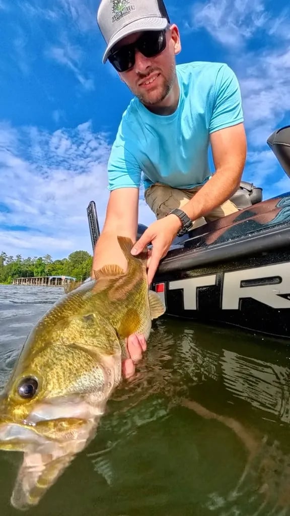 Angler in sunglasses holding a large bass partially submerged in the water from a boat