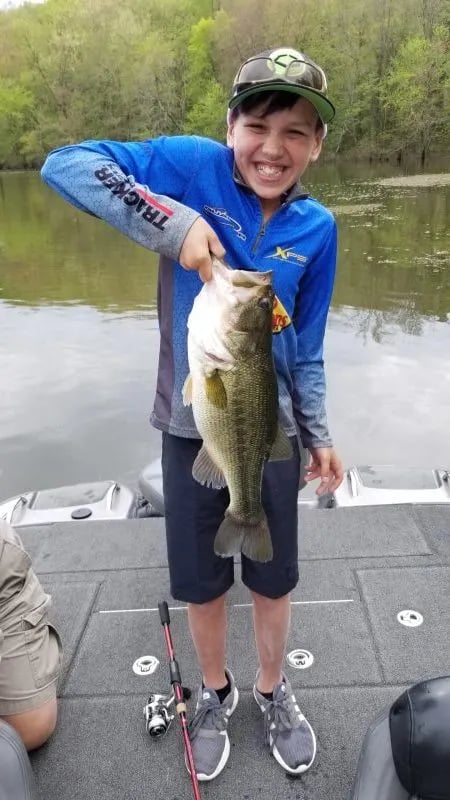 Close-up of a largemouth bass's mouth with a crankbait lure.