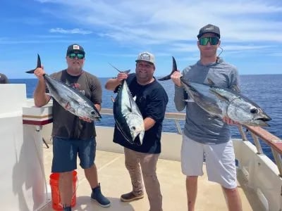 Three anglers on a boat deck holding up large Yellowfin Tuna