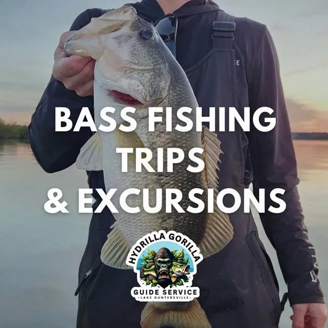 Angler holding two large Largemouth Bass with various sponsor logos on the right.